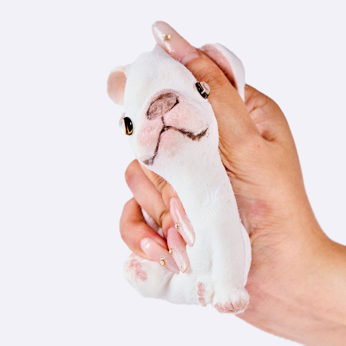 Flocked White French Bulldog Taba Squishy