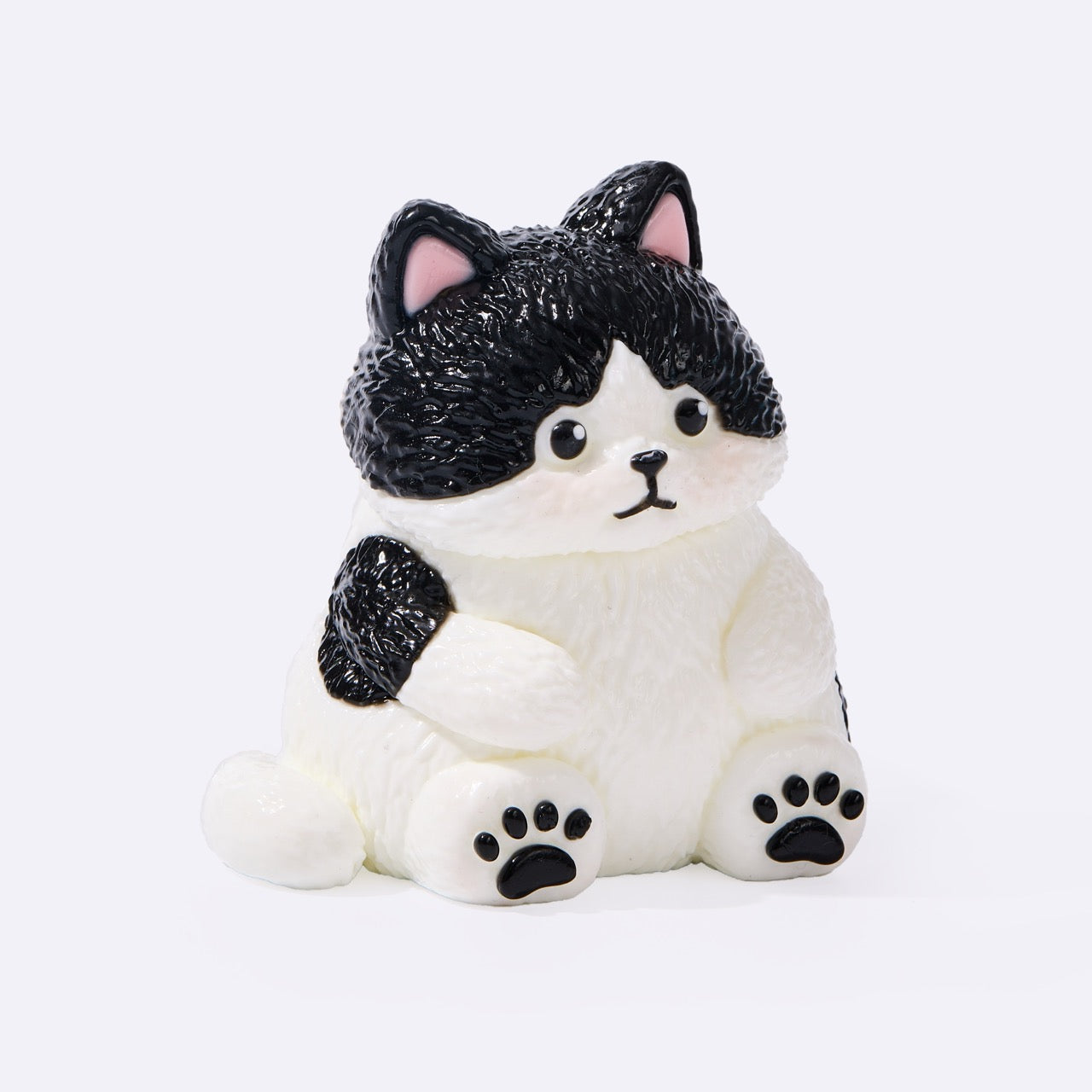 Chubby Tuxedo Cat