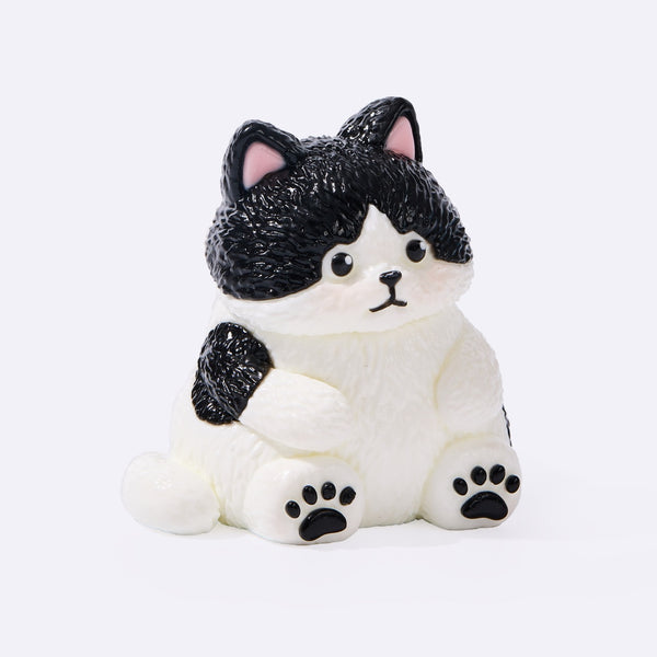 Chubby Tuxedo Cat