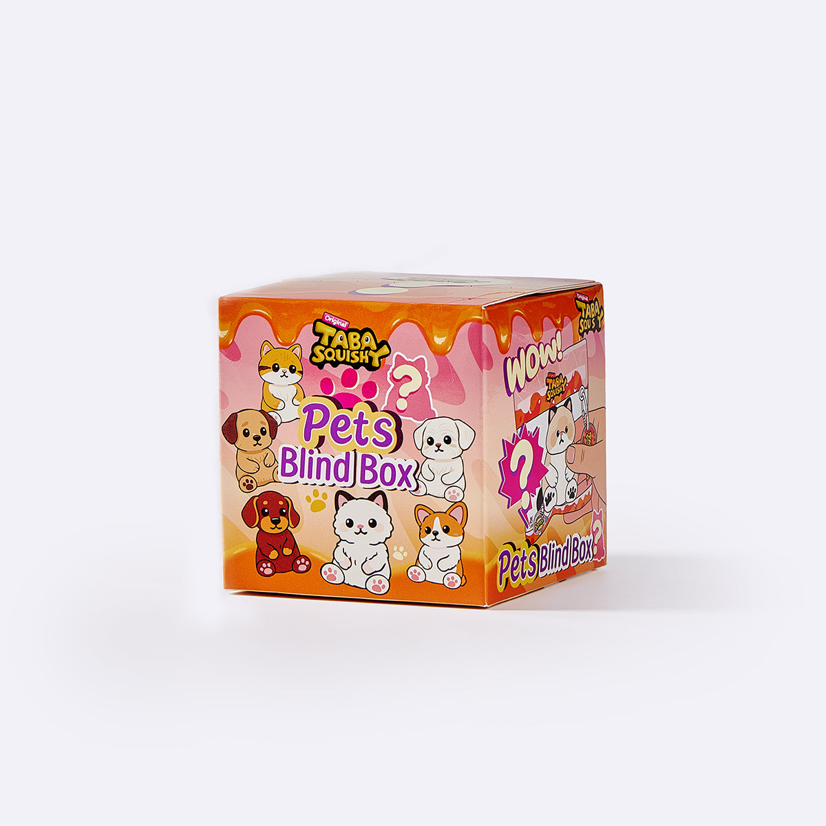 Beloved Pet Blind Box