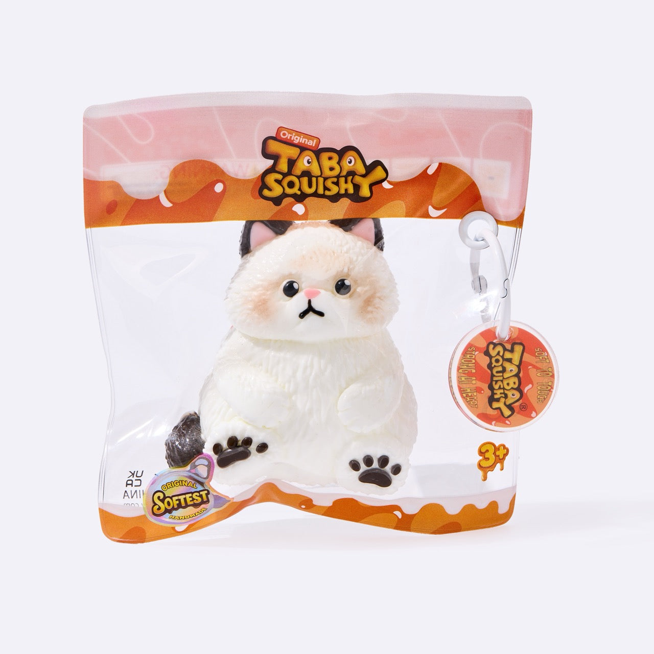 Chubby White Ragdoll Cat