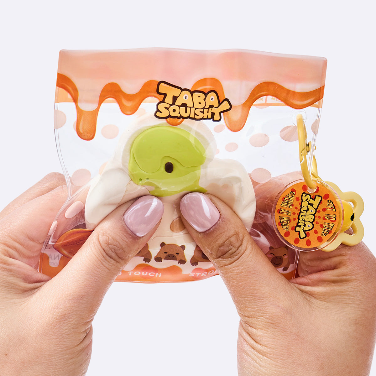 Tanystropheus