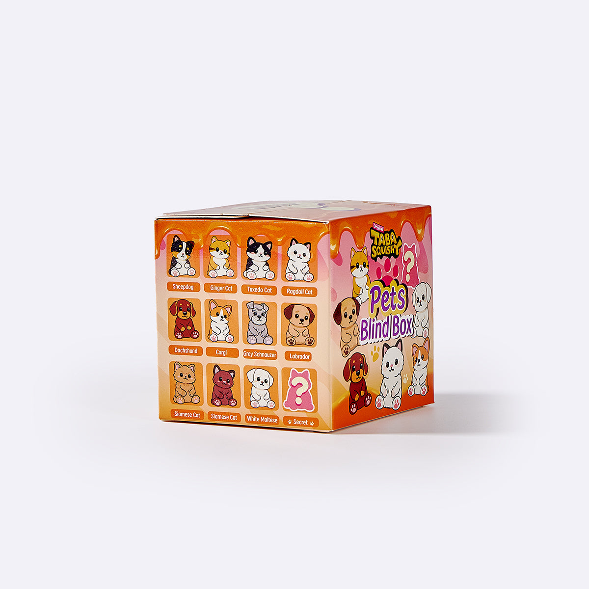 Beloved Pet Blind Box