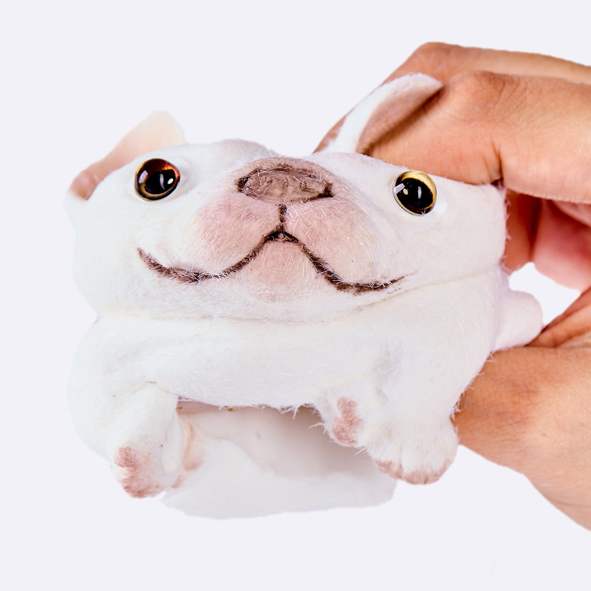 Flocked White French Bulldog Taba Squishy