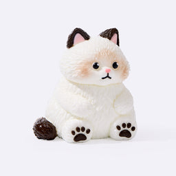 Chubby White Ragdoll Cat