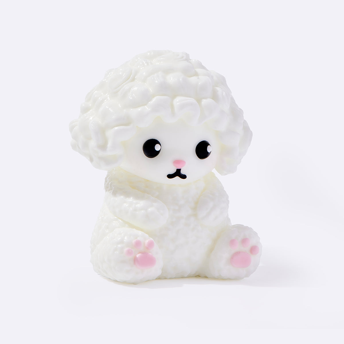 White Poodle Dog