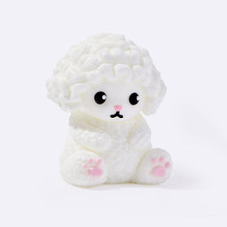 White Poodle Dog