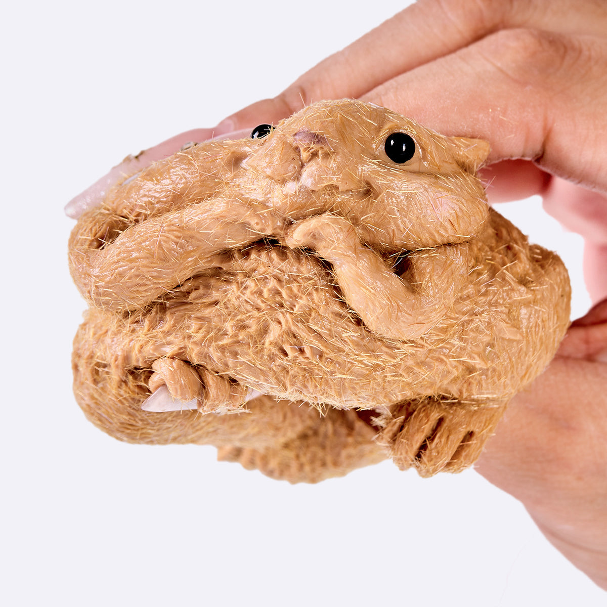 Flocked Squirrel Taba Squishy