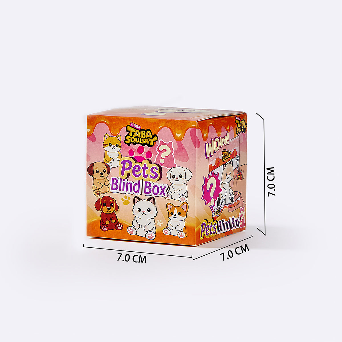 Beloved Pet Blind Box